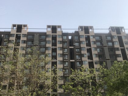 资讯 第346页
