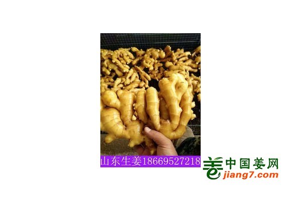 资讯 第304页