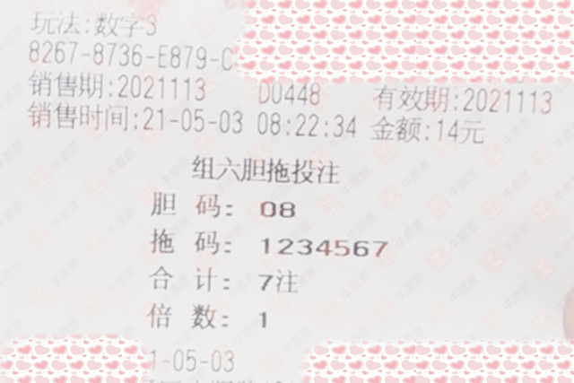新澳313今晚开奖结果查询,新澳313今晚开奖结果查询——揭开彩票的神秘面纱