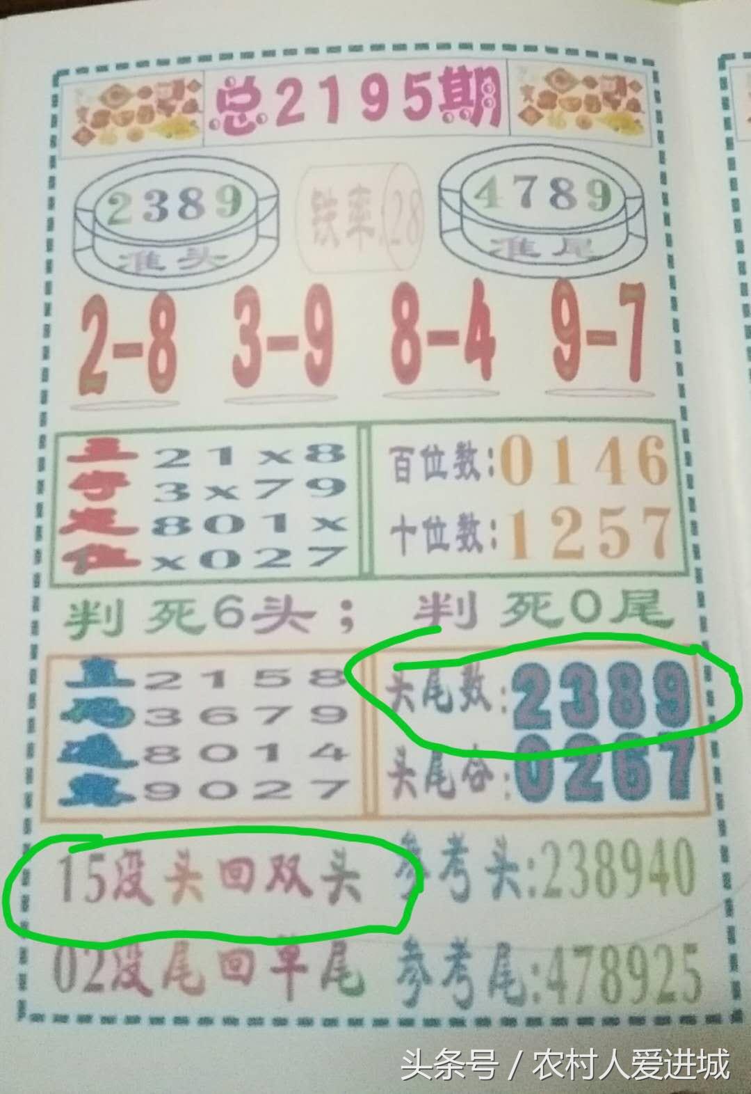 新澳门内部精准二肖,新澳门内部精准二肖的奥秘与探索