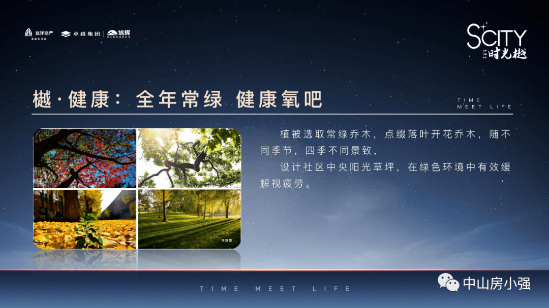 新澳彩资料,新澳彩资料，探索与解析